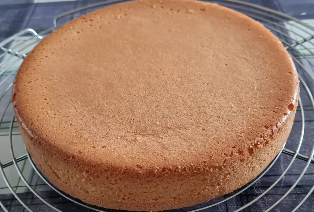 Image Fraisier 11