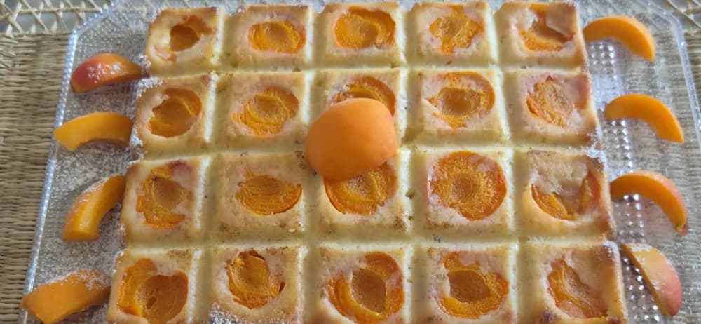 Image Moelleux aux Abricots