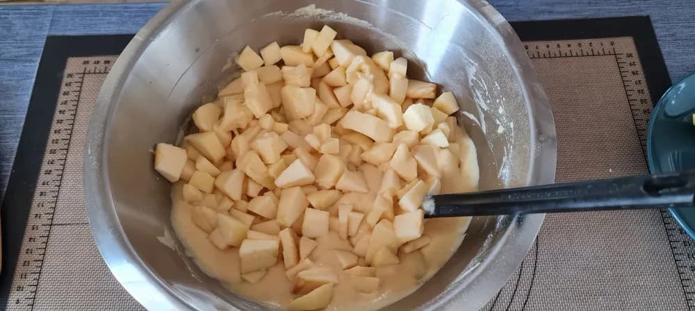 Image Moelleux aux Pommes 13