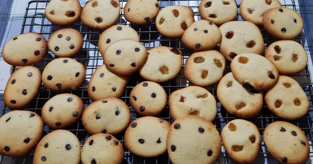 Image Palets de Dames aux Raisins et Pépites de Chocolat 15