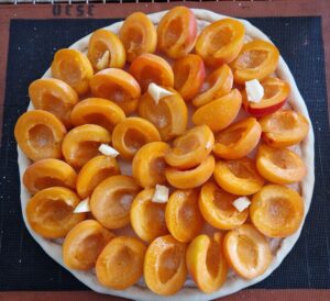 Tarte-Fine-Abricots-2 Tarte-Fine-Abricots