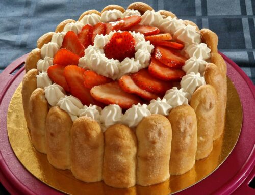 Charlotte aux Fraises