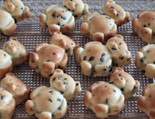 Oursons aux Pépites de Chocolat