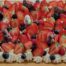 Tarte-Fruits-Rouges-Xxl