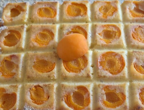 Moelleux aux Abricots